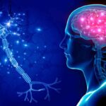 concetto di cervello umano